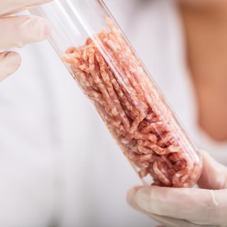 Mięso wyhodowane w laboratorium jest czyste mikrobiologicznie ( Fot. iStock)