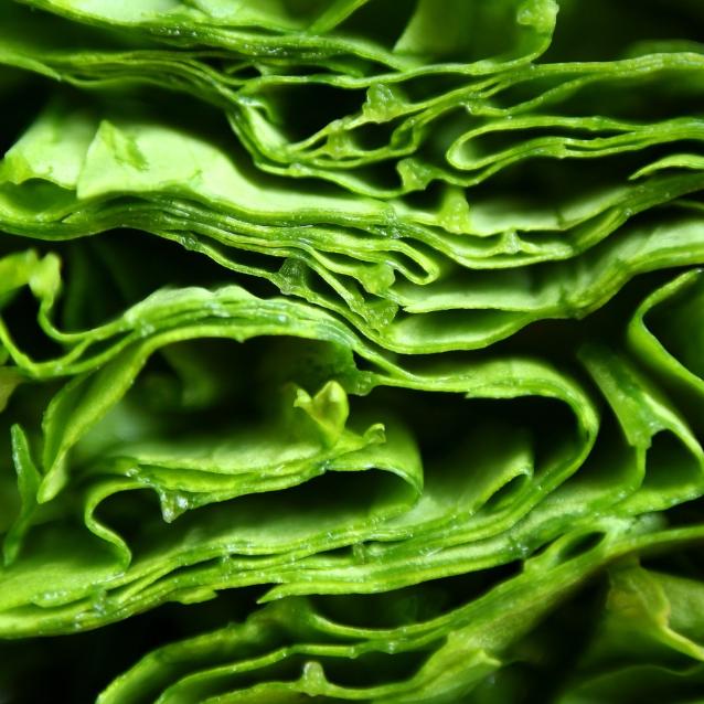 Kwas foliowy w jedzeniu występuje pod postacią folianów i to właśnie to, co jemy, powinno być jego największym źródłem dla organizmu. (fot. iStock)
