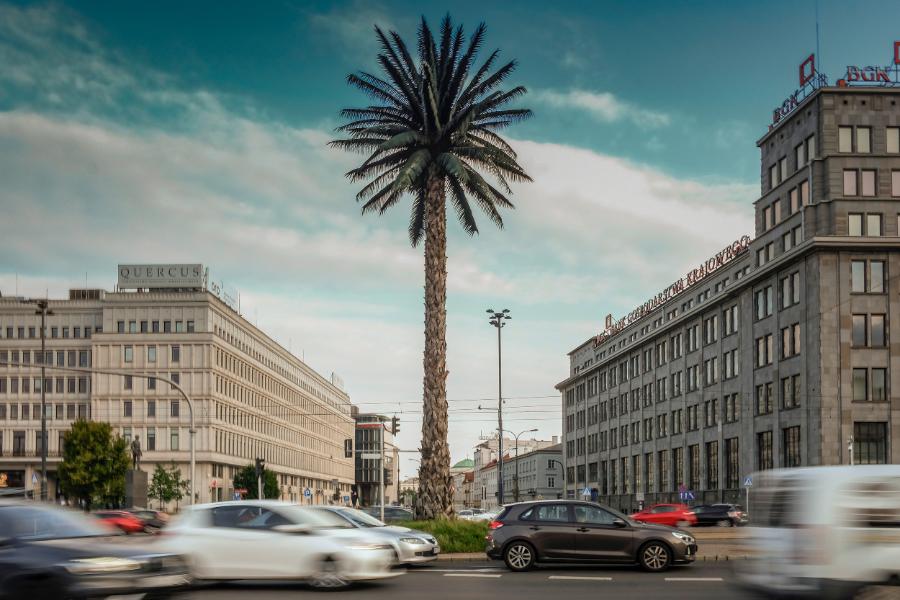 Słynna palma, czyli „Pozdrowienia z Alej Jerozolimskich” na rondzie Charles’a de Gaulle’a w Warszawie. (Fot. East News)