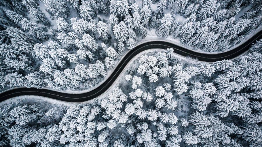  Droga w lesie. Zdjęcie wykonane dronem. (Fot. iStock)