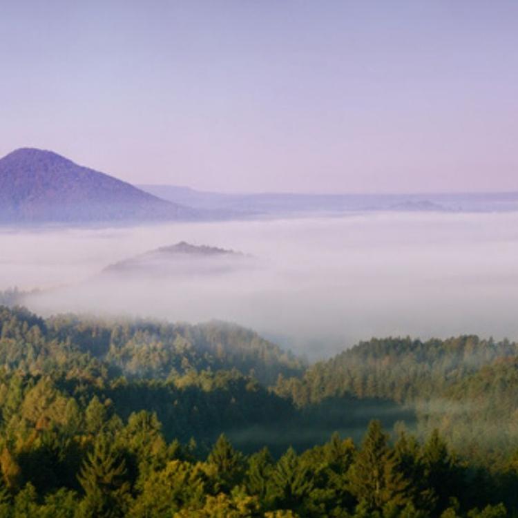 Růžovský vrch w Czeskiej Szwajcarii (Fot. Shutterstock)
